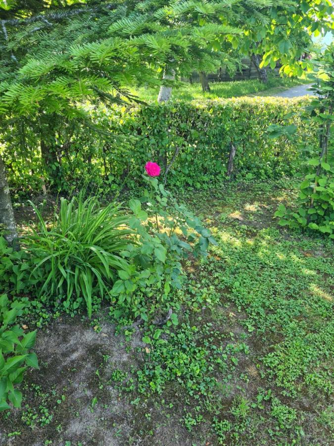Holiday Home Hizica V Plavem Trnacu Gornja Stubica Экстерьер фото