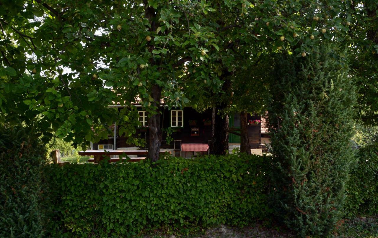 Holiday Home Hizica V Plavem Trnacu Gornja Stubica Экстерьер фото